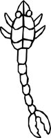 TAILCLAW.WMF