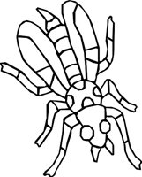 SPOTBEE.WMF