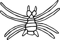 SPIDERIZ.WMF