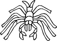 SCORPPID.WMF