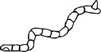 PINWORM.WMF