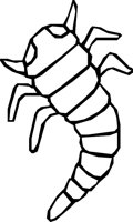 PEAGRUB.WMF