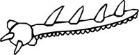 MILIPEDY.WMF