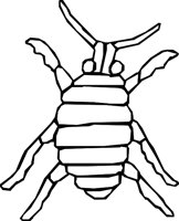 LOPE_BUG.WMF
