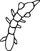 LEACHIUS.WMF