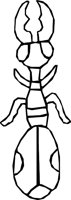 HOOKBUG.WMF