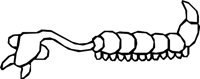 HEADPEDE.WMF
