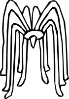 EZSPIDER.WMF
