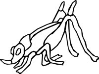 DIHOPPER.WMF