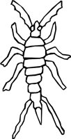 CRAWLETE.WMF