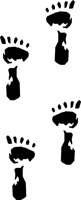 PRINTS18.WMF