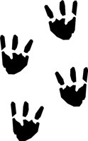 PRINTS15.WMF