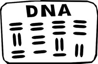 D_N_A.WMF