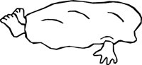 BODY_01.WMF