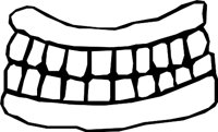 TEETH_15.WMF