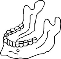 TEETH_14.WMF