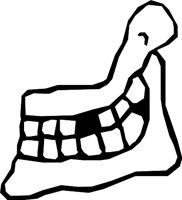 TEETH_12.WMF