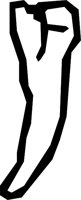 TEETH_03.WMF