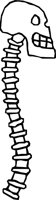SKULL_24.WMF