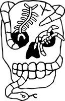 SKULL_01.WMF