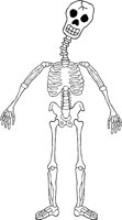 SKELTN18.WMF