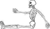 SKELTN16.WMF