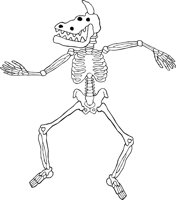 SKELTN15.WMF