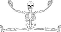 SKELTN13.WMF