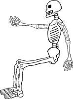 SKELTN12.WMF