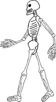 SKELTN10.WMF