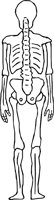 SKELTN02.WMF
