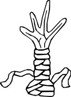 HAND_34.WMF