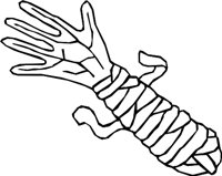 HAND_32.WMF