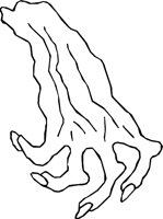 HAND_26.WMF