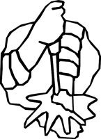 HAND_16.WMF