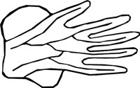 HAND_09.WMF