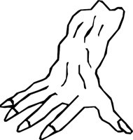 HAND_02.WMF