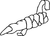 FINGER_1.WMF