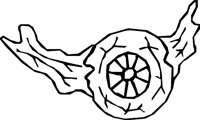 EYE_01.WMF