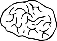 BRAIN_03.WMF