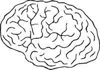 BRAIN_02.WMF