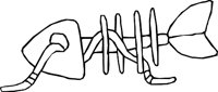 BONE_45.WMF