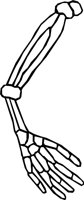 BONE_43.WMF