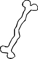 BONE_38.WMF