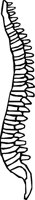 BONE_33.WMF
