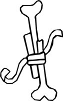 BONE_23.WMF