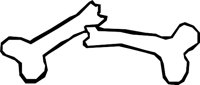 BONE_19.WMF