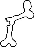 BONE_17.WMF