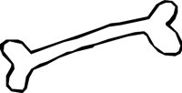 BONE_13.WMF