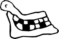 BONE_12.WMF
